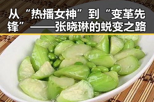从“热播女神”到“变革先锋”——张晓琳的蜕变之路