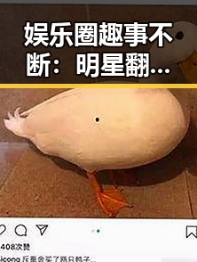 娱乐圈趣事不断：明星翻车、乌龙恋情和神回复大集合