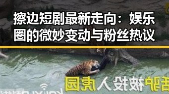 擦边短剧最新走向：娱乐圈的微妙变动与粉丝热议