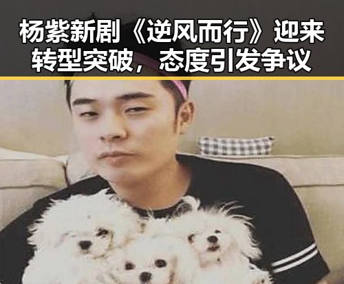 杨紫新剧《逆风而行》迎来转型突破，态度引发争议
